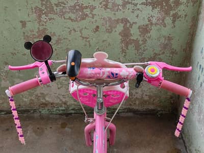 Barbie Bicycle for Girls