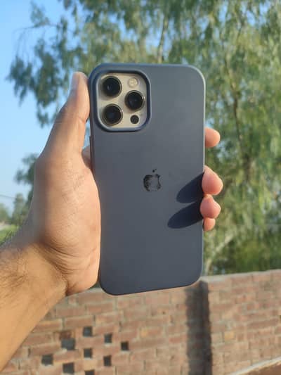 Apple iPhone 12 Pro Max