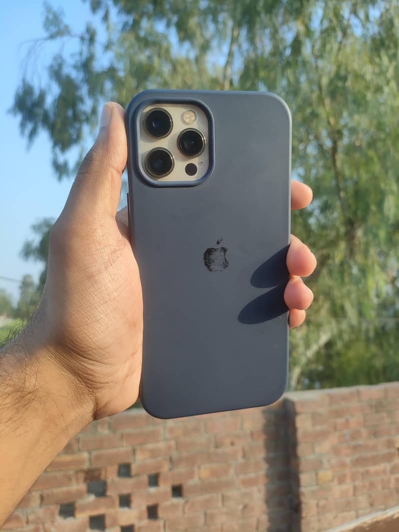 Apple iPhone 12 Pro Max 0