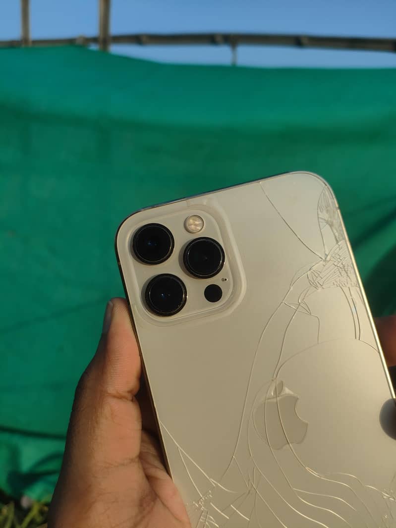 Apple iPhone 12 Pro Max 1