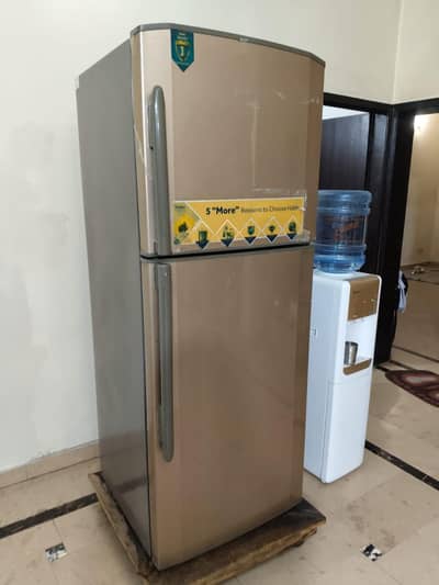 Large Size Fridge