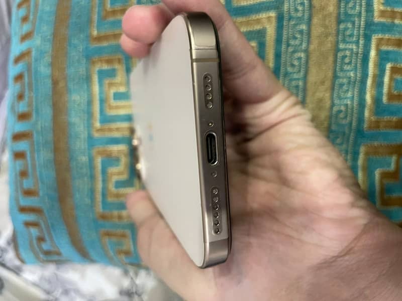 Apple iPhone 16 Pro Max 1