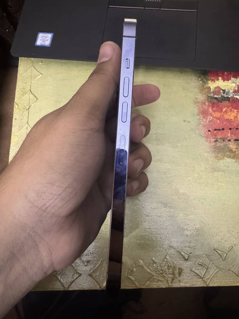 Apple iPhone 13 Pro Max 9