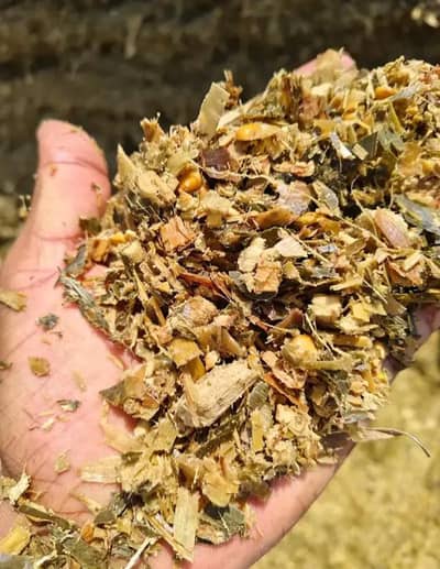 silage/Maki Silage/Animal