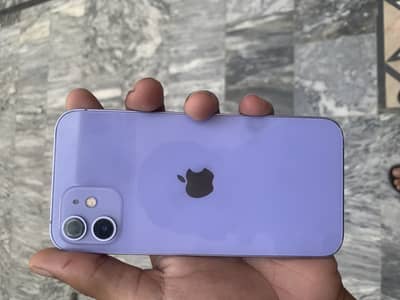 Apple iPhone 12