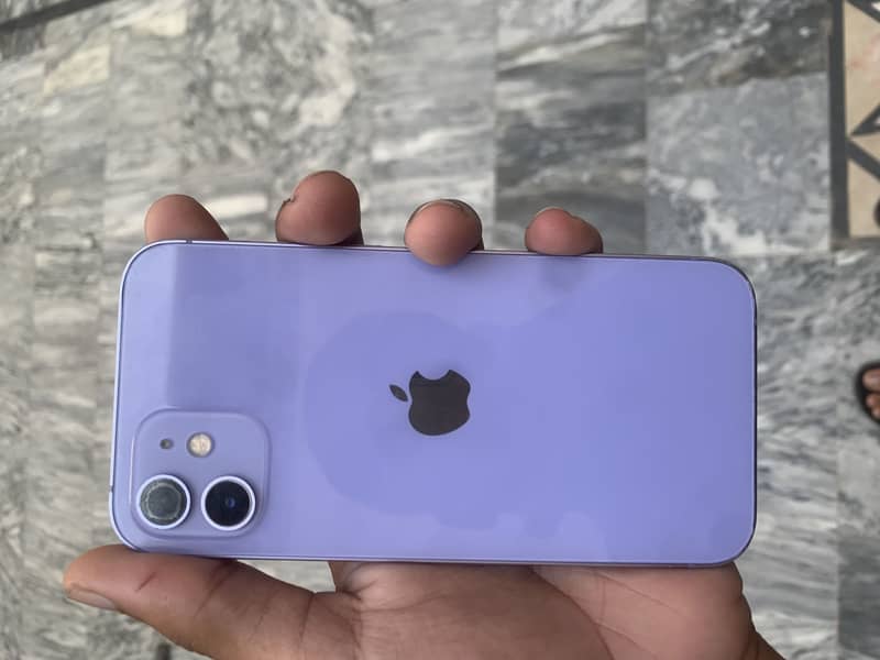 Apple iPhone 12 0