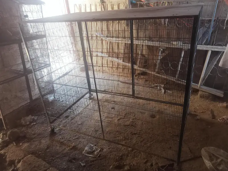 Cage For Goats, Hens & Dogs. — photo 2