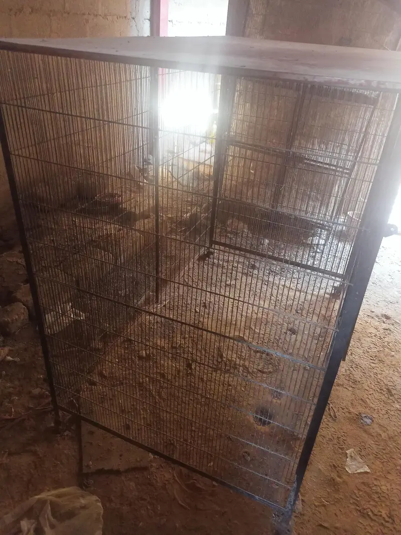 Cage For Goats, Hens & Dogs. — photo 3