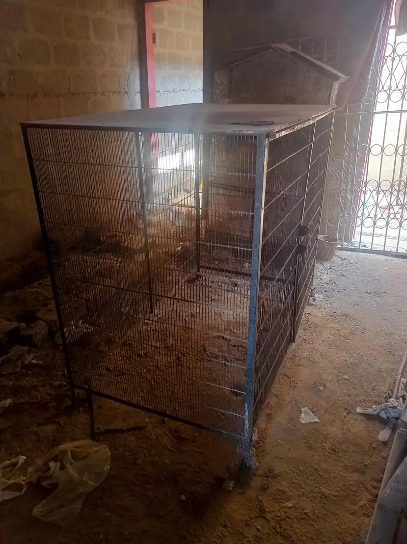 Cage For Goats, Hens & Dogs. — photo 5