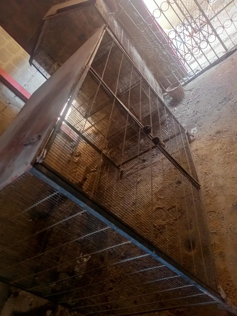 Cage For Goats, Hens & Dogs. — photo 6