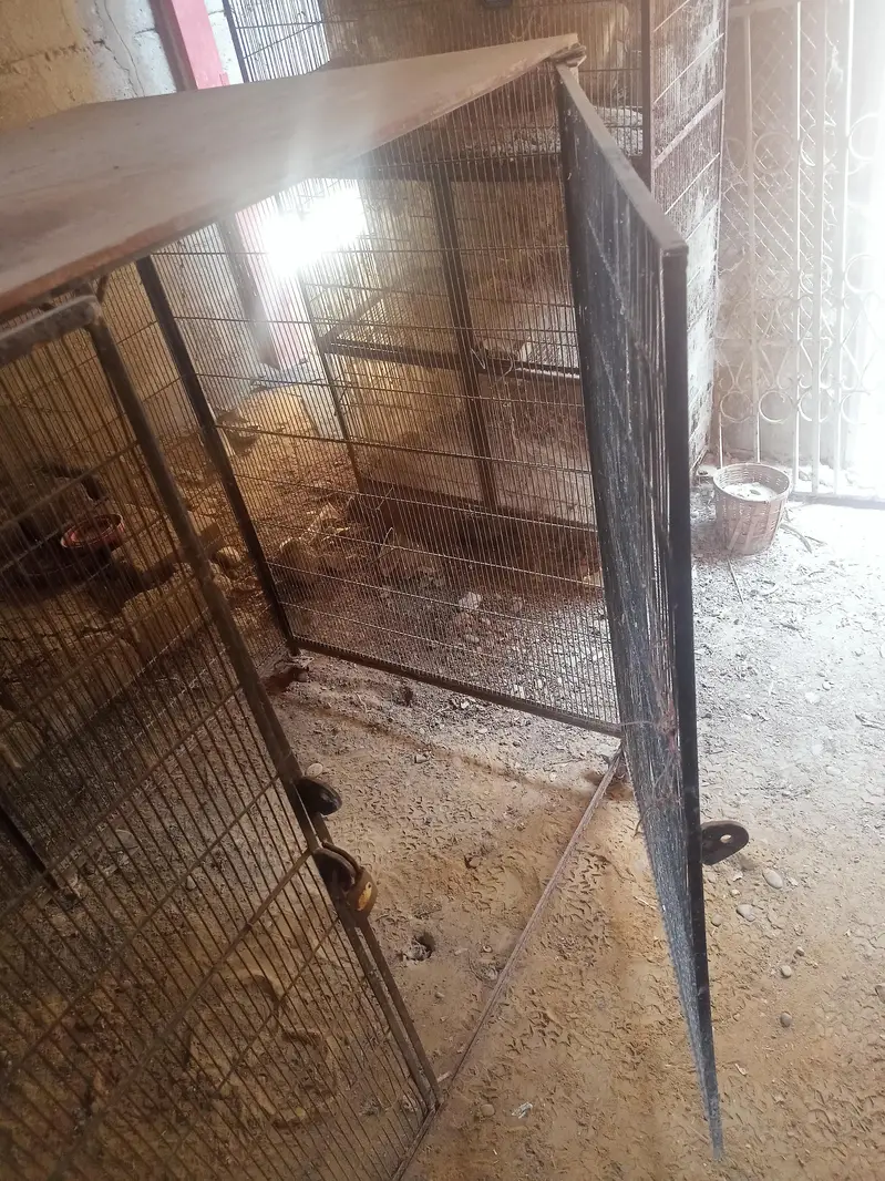 Cage For Goats, Hens & Dogs. — photo 7
