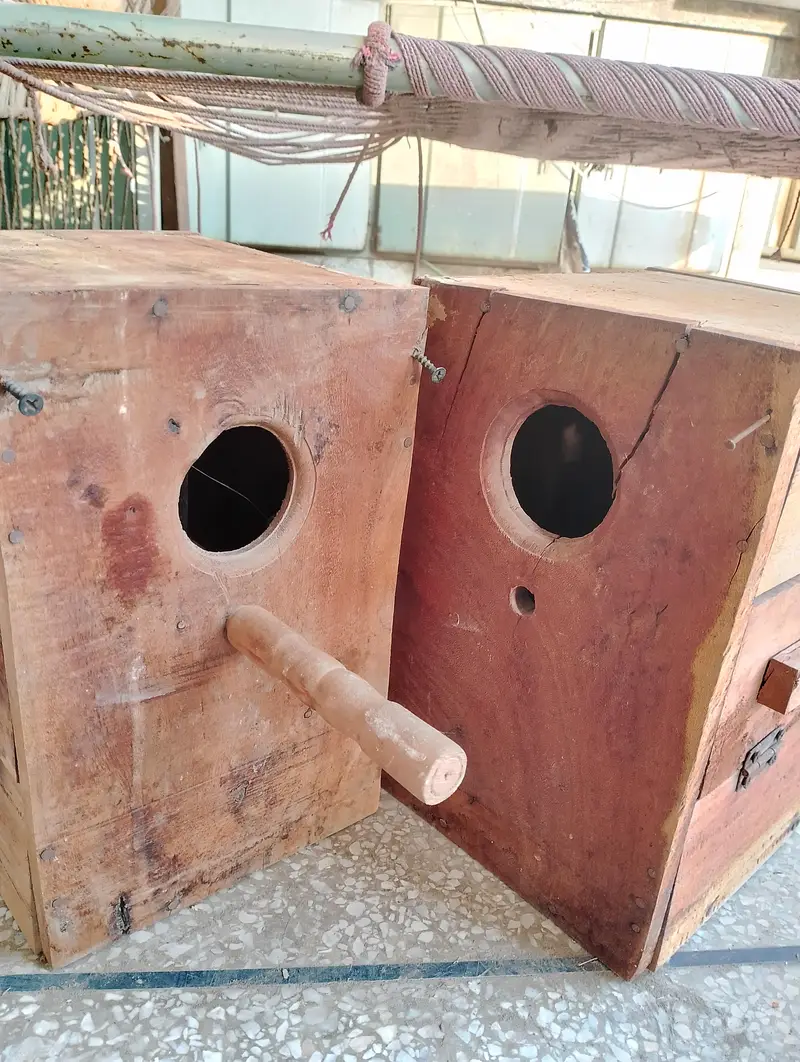 2 wooden bird breeding boxes — photo 3