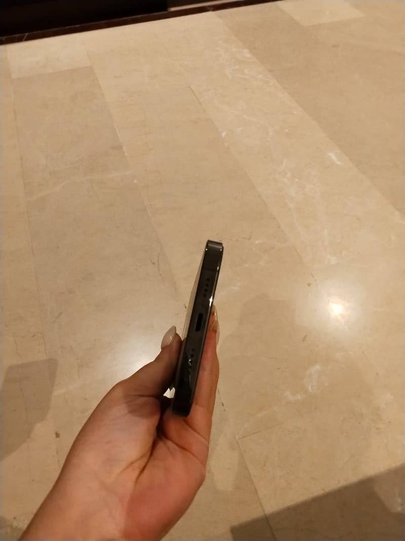 Apple iPhone 12 Pro Max 2