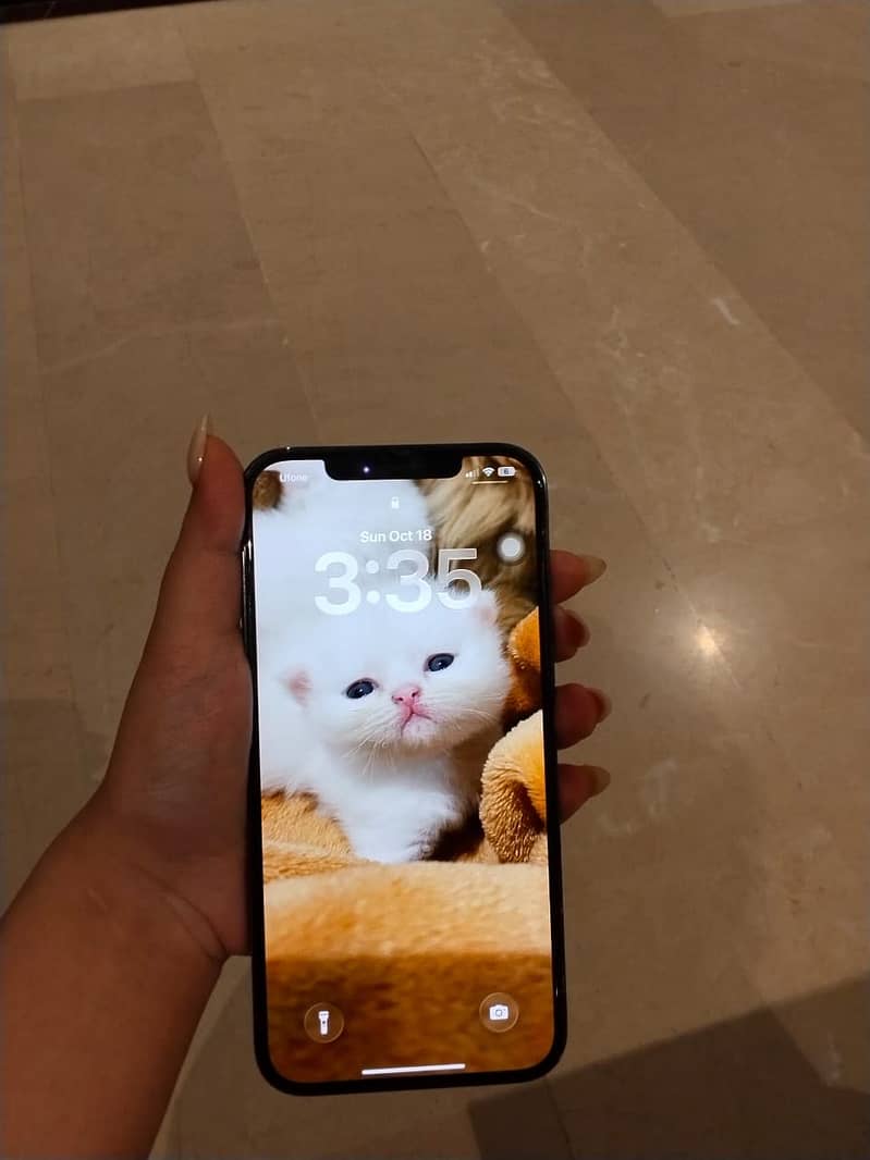 Apple iPhone 12 Pro Max 5