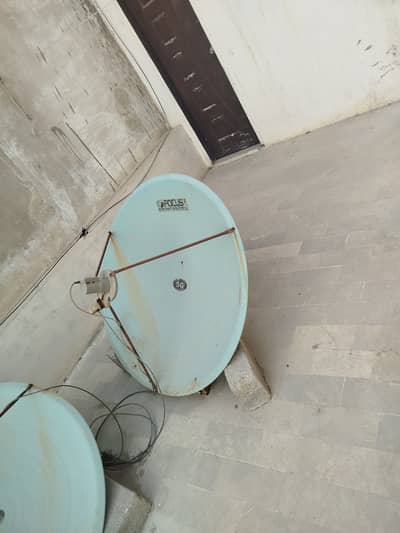 dish anteena big size