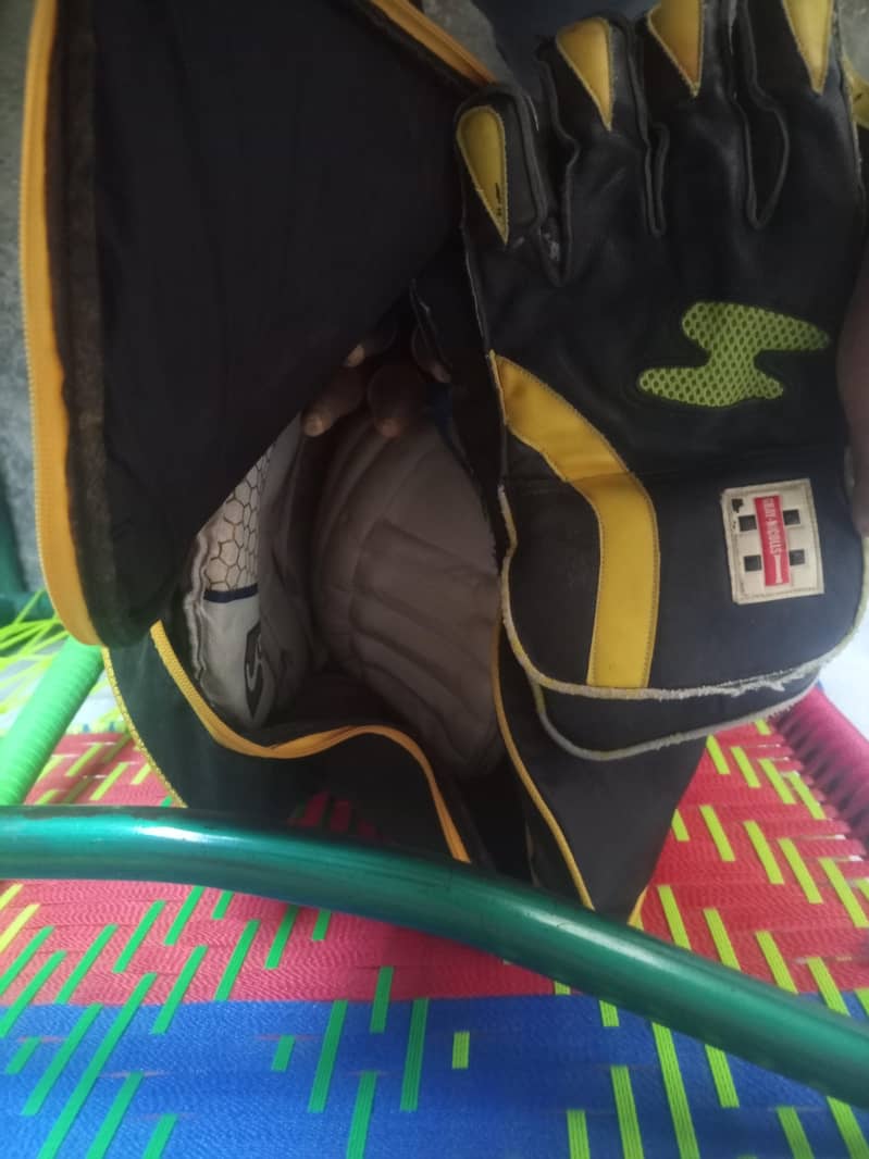 cricket kitt 1