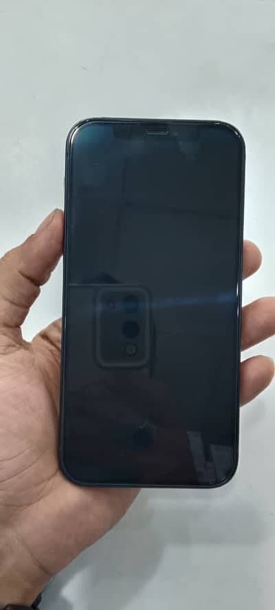Apple iPhone 12