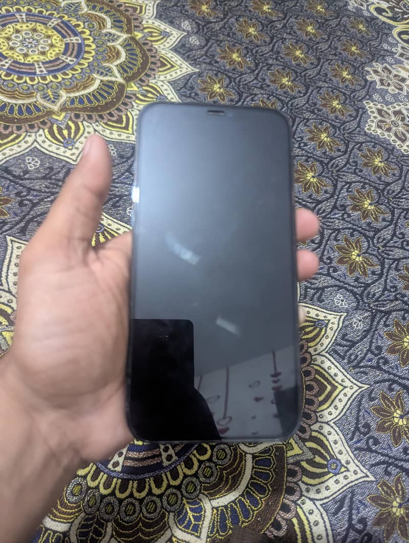 Apple iPhone 12 Pro Max 1