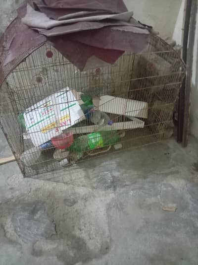 cage for sale urgent