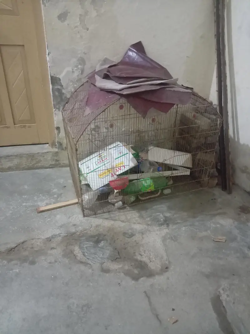 cage for sale urgent — photo 2