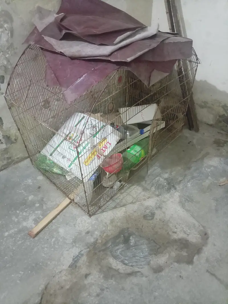 cage for sale urgent — photo 3