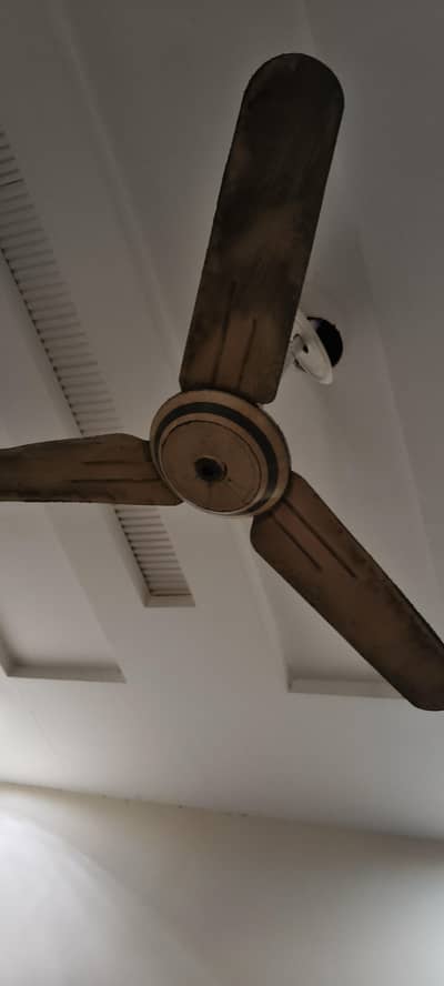 Fan for sale
