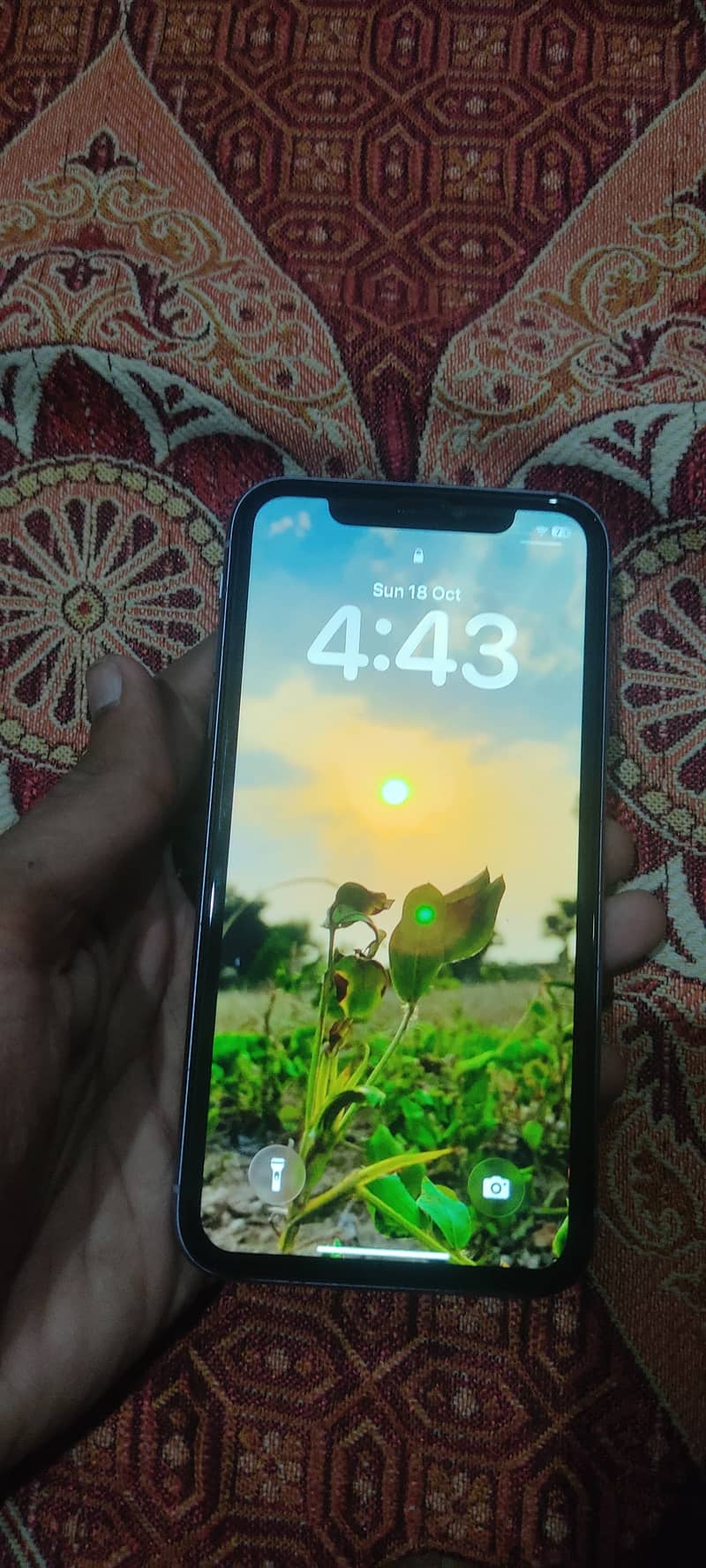Apple iPhone 11 1
