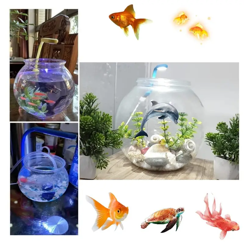Fish and aquarium Munseeb price 03268301979 — photo 3