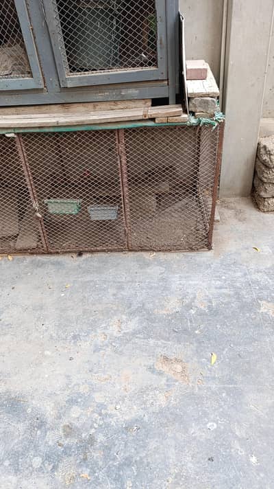 Iron cage for hen