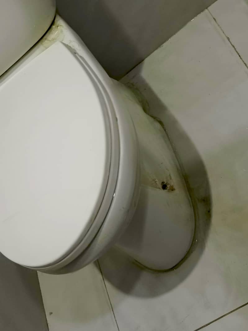 white commode 2