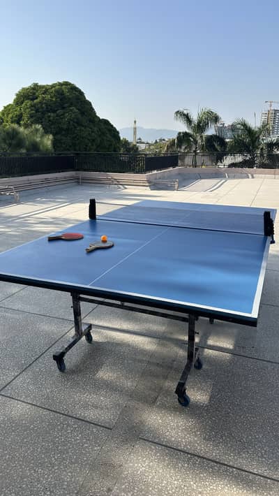 Table tennis table