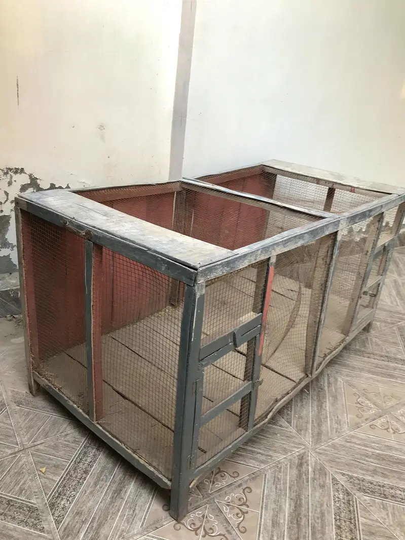 Hen and Pigeon Cage — photo 3