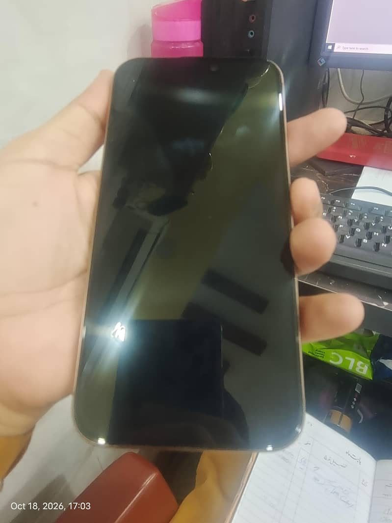 Apple iPhone 16 Pro Max 1