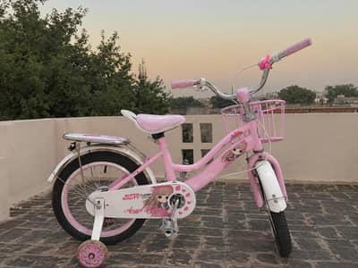 Road Bicycle