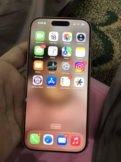 17 pro