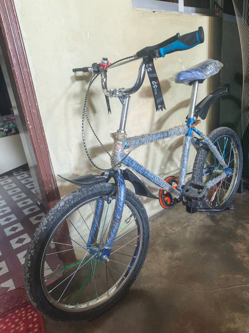 BAMIX cycle 2