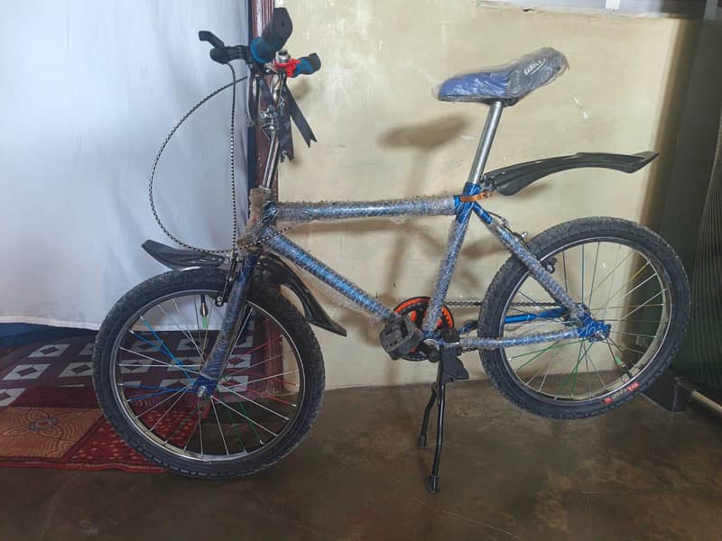 BAMIX cycle 4