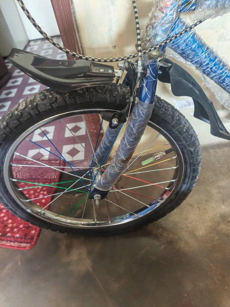 BAMIX cycle 5