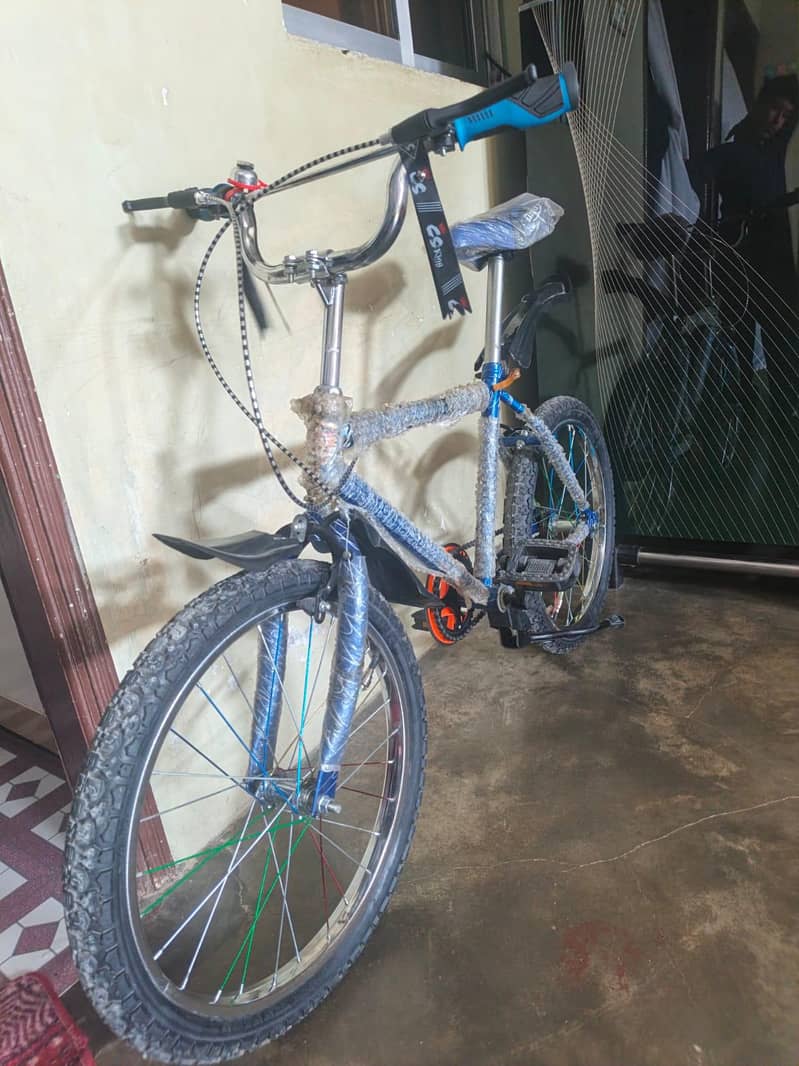 BAMIX cycle 6