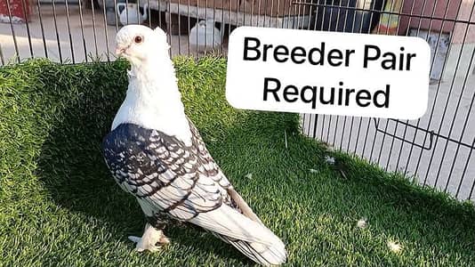 Required