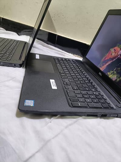 dell laptop laptop