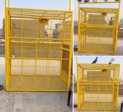 Dhoop Jaal For Pigeons