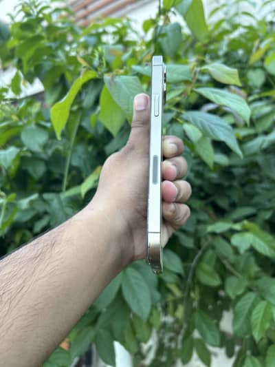 Apple iPhone 12 Pro Max [Factory unlocked]
