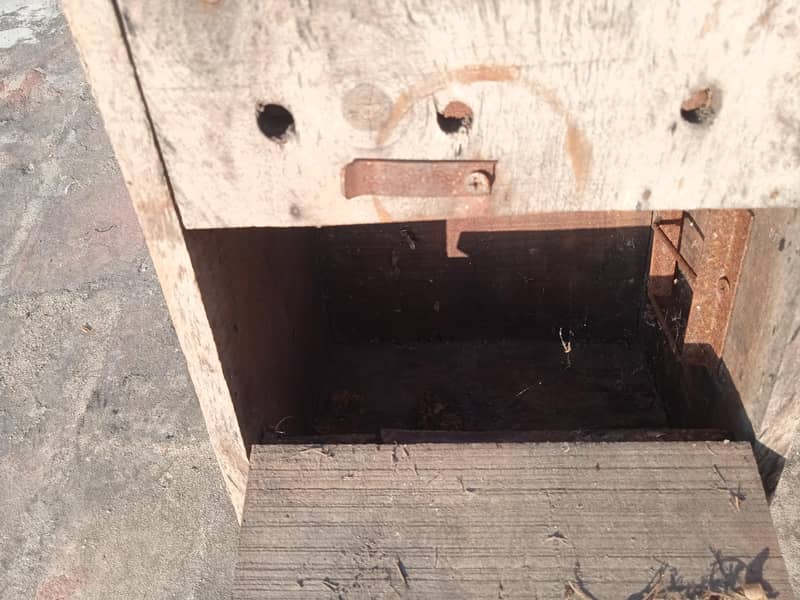 Nesting Box 6