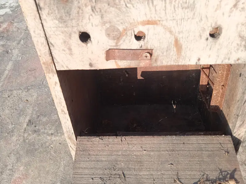 Nesting Box — photo 7