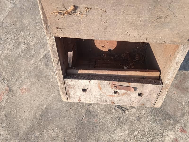 Nesting Box 7