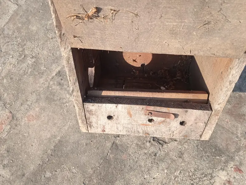 Nesting Box — photo 8