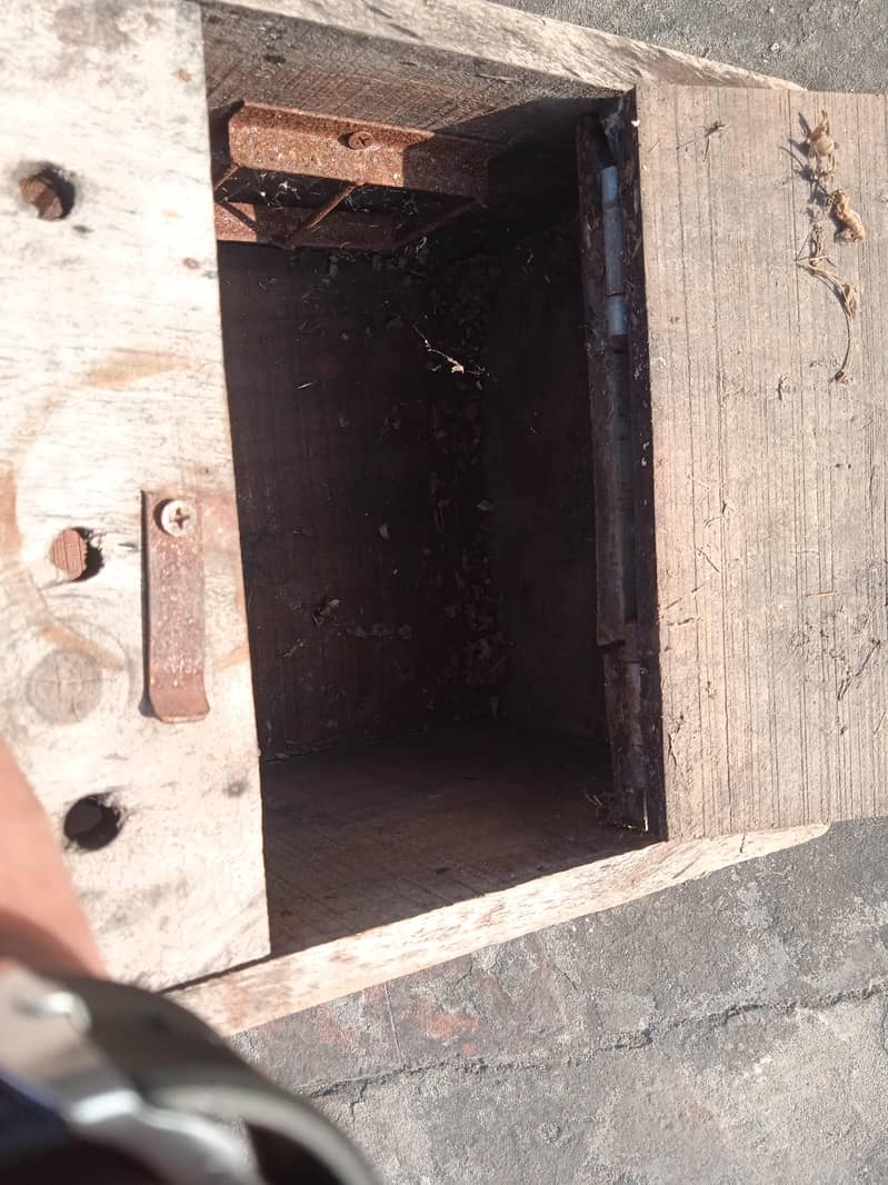 Nesting Box 9