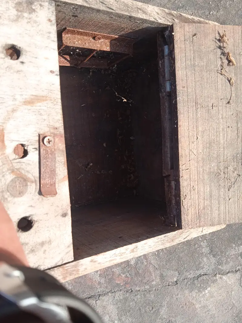 Nesting Box — photo 10