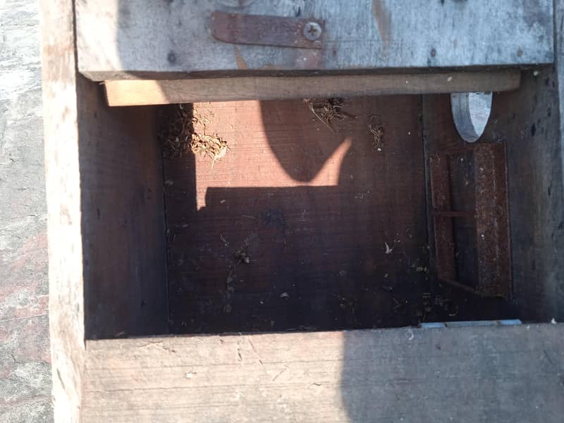 Nesting Box 10